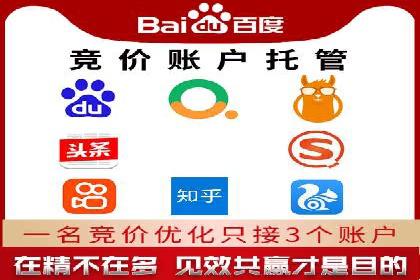 百度搜索推广实战经验：经典案例剖析